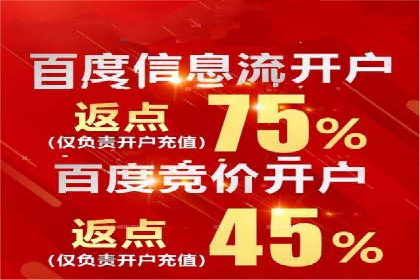 搜索引擎营销（SEM）在移动端的推广案例